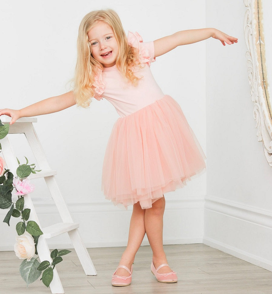 BALLERINA TUTU DRESS Blush LITTLE LUSH BOUTIQUE